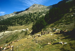 Marcia all'Alpe di Viou e Blavy