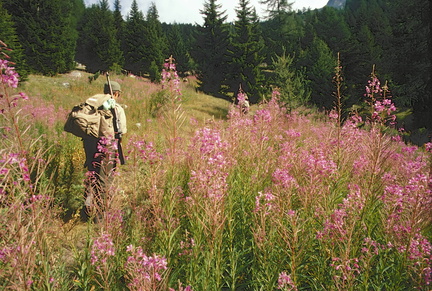 Marcia all'Alpe di Viou (09/08/1979)